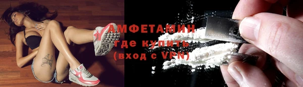 крисы Вязьма