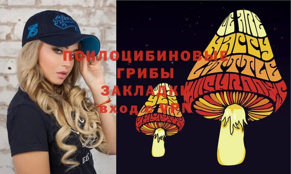 ПСИЛОЦИБИНОВЫЕ ГРИБЫ Дмитров